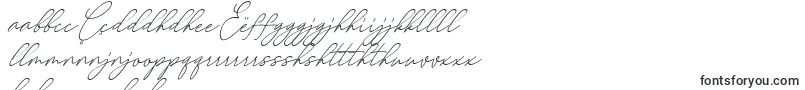 Czcionka August Script Bold Free – czcionki n'yanja