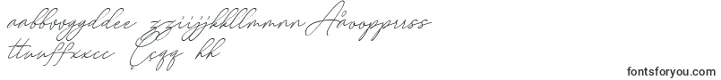 August Script Bold Free Font – Uzbek Fonts