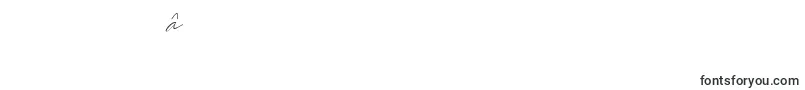 フォントAugust Script Bold Free – ヘブライ文字