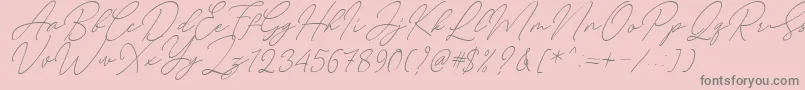 Шрифт August Script Bold Free – серые шрифты на розовом фоне