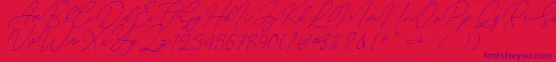 August Script Bold Free-Schriftart – Violette Schriften auf rotem Hintergrund