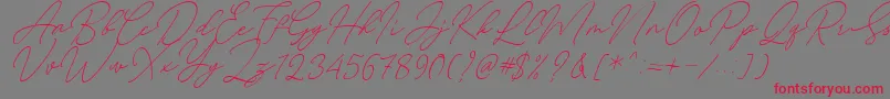 Czcionka August Script Bold Free – czerwone czcionki na szarym tle
