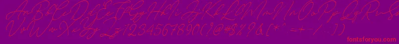 August Script Bold Free-Schriftart – Rote Schriften auf violettem Hintergrund