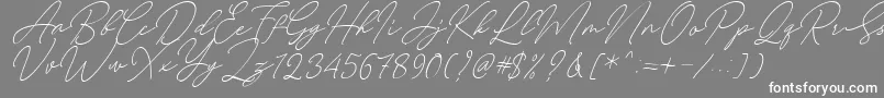 fuente August Script Bold Free – Fuentes Blancas Sobre Fondo Gris