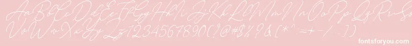 Fonte August Script Bold Free – fontes brancas em um fundo rosa