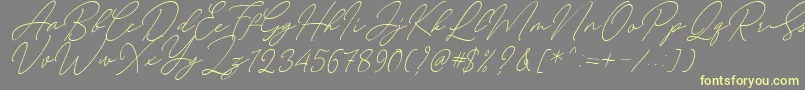 August Script Bold Free-fontti – keltaiset fontit harmaalla taustalla