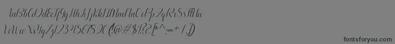 Aurelia italic-Schriftart – Schwarze Schriften auf grauem Hintergrund