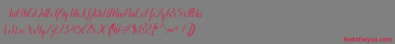 フォントAurelia italic – 赤い文字の灰色の背景
