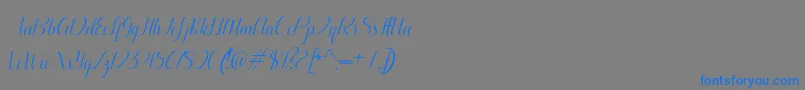 Aurelia italic-Schriftart – Blaue Schriften auf grauem Hintergrund