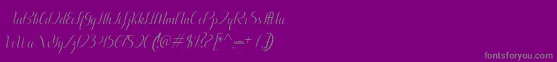 Aurelia italic-Schriftart – Graue Schriften auf violettem Hintergrund