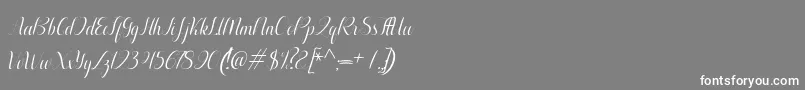 フォントAurelia italic – 灰色の背景に白い文字