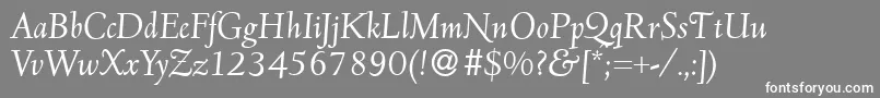 フォントD690RomanItalic – 灰色の背景に白い文字