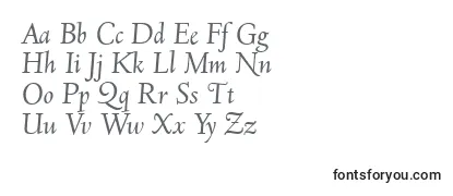 D690RomanItalic Font