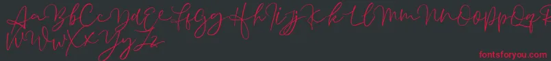 Aussiente Free Version Font – Red Fonts on Black Background