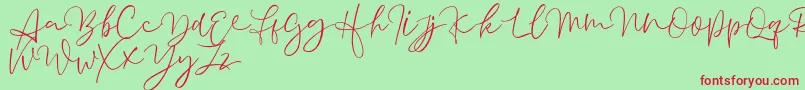 Aussiente Free Version Font – Red Fonts on Green Background