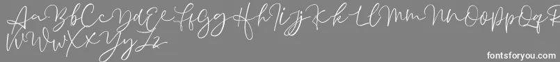 Aussiente Free Version Font – White Fonts on Gray Background