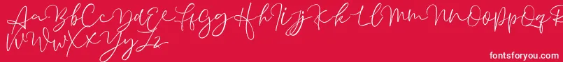 fuente Aussiente Free Version – Fuentes Blancas Sobre Fondo Rojo
