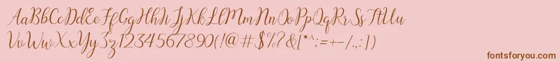 austina Font – Brown Fonts on Pink Background