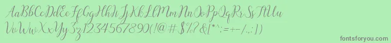 austina Font – Gray Fonts on Green Background