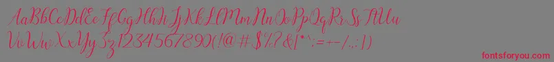 austina Font – Red Fonts on Gray Background