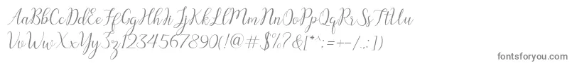 austina Font – Gray Fonts