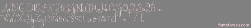 Australian Script Font – Pink Fonts on Gray Background