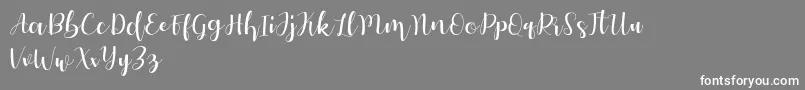 Autery Font – White Fonts on Gray Background