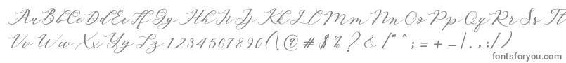 Autines Script-fontti – harmaat kirjasimet valkoisella taustalla