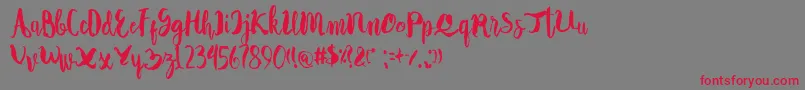 Autodidact Font – Red Fonts on Gray Background