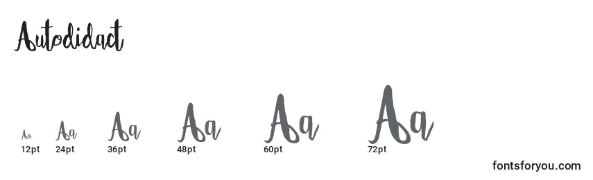 Autodidact Font Sizes