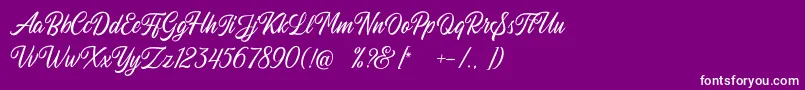 Autogate Regular DEMO Font – White Fonts on Purple Background