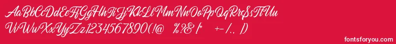 Autogate Regular DEMO Font – White Fonts on Red Background