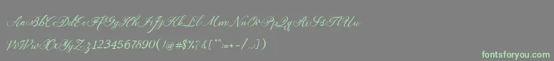 Auttan Font – Green Fonts on Gray Background