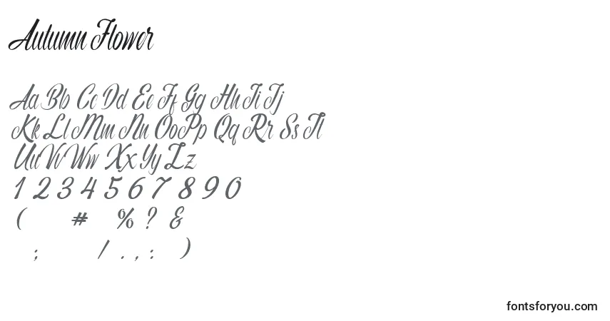 Schriftart Autumn Flower (120307) – Alphabet, Zahlen, spezielle Symbole