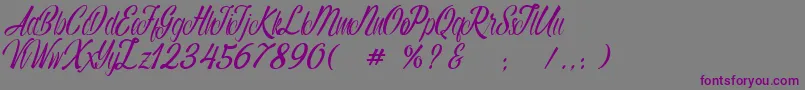 Autumn Flower Font – Purple Fonts on Gray Background