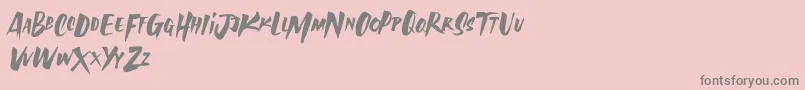 AvailaBrush Demo Font – Gray Fonts on Pink Background