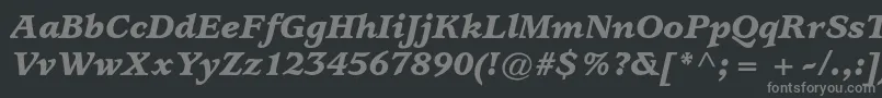 UsherwoodstdBlackitalic Font – Gray Fonts on Black Background