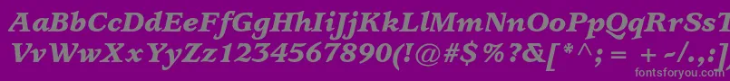 UsherwoodstdBlackitalic-fontti – harmaat kirjasimet violetilla taustalla