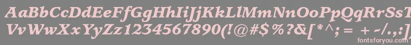 UsherwoodstdBlackitalic Font – Pink Fonts on Gray Background