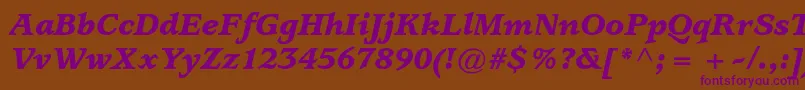 UsherwoodstdBlackitalic Font – Purple Fonts on Brown Background