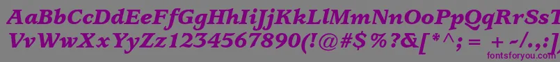 UsherwoodstdBlackitalic Font – Purple Fonts on Gray Background