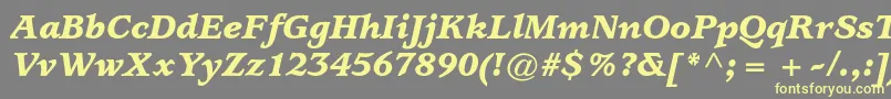 UsherwoodstdBlackitalic Font – Yellow Fonts on Gray Background