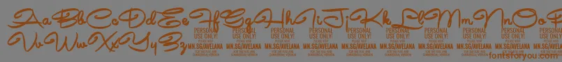 AvelanaBold PERSONAL Font – Brown Fonts on Gray Background