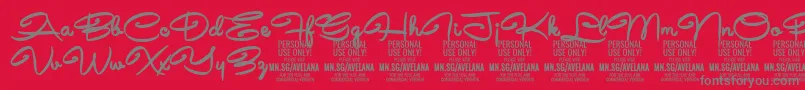 AvelanaBold PERSONAL-Schriftart – Graue Schriften auf rotem Hintergrund