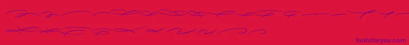 AvelanaDecoM PERSONAL Font – Purple Fonts on Red Background