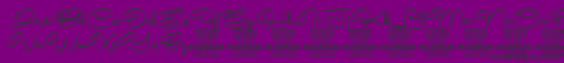 フォントAvelanaMedium PERSONAL – 紫の背景に黒い文字