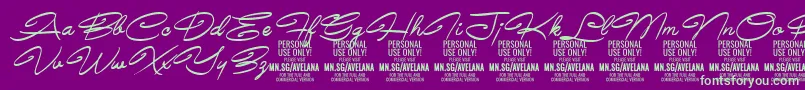 AvelanaMediumItalic PERSONAL Font – Green Fonts on Purple Background