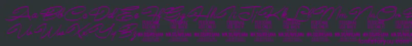 AvelanaMediumItalic PERSONAL Font – Purple Fonts on Black Background