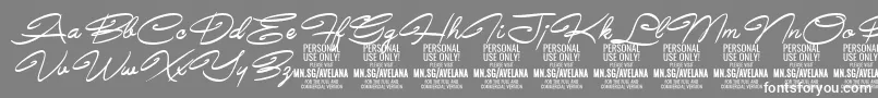 フォントAvelanaMediumItalic PERSONAL – 灰色の背景に白い文字