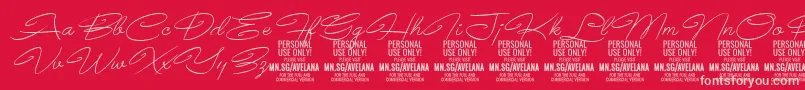 AvelanaThinItalic PERSONAL Font – Pink Fonts on Red Background